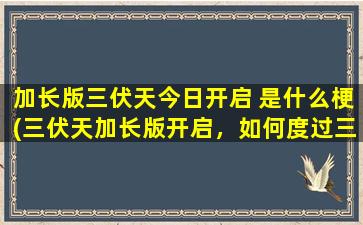 加长版三伏天今日开启 是什么梗(三伏天加长版开启，如何度过三伏高温？)